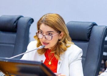 São Luís/MA – Sob liderança da presidente Iracema Vale, Assembleia Legislativa aprova homenagens a movimentos sociais