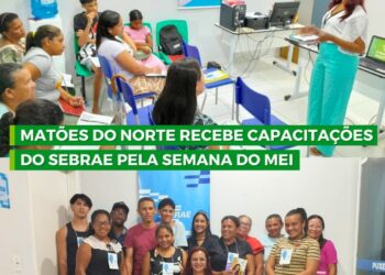 MATÕES DO NORTE – Recebe capacitação do Sebrae pela semana do MEI