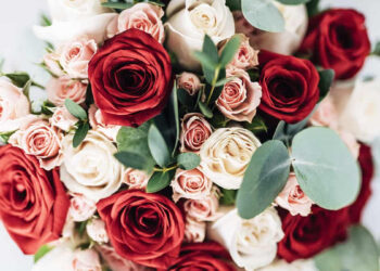 São Luís/MA – Presentes para mães podem ter diferença de até 200%, aponta Procon/MA