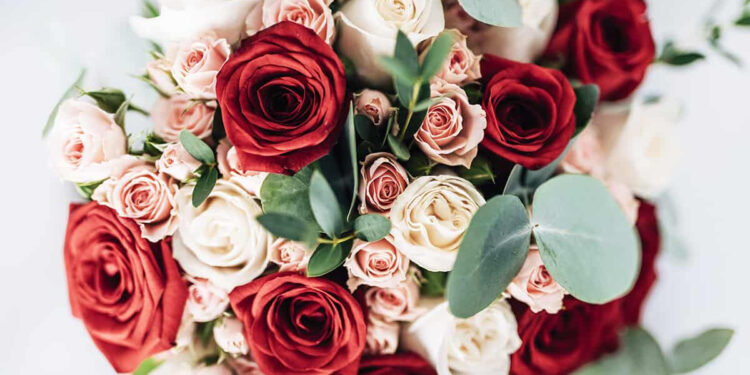 São Luís/MA – Presentes para mães podem ter diferença de até 200%, aponta Procon/MA