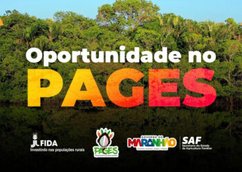 São Luís/MA – Pages abre vaga para assistente de monitoramento