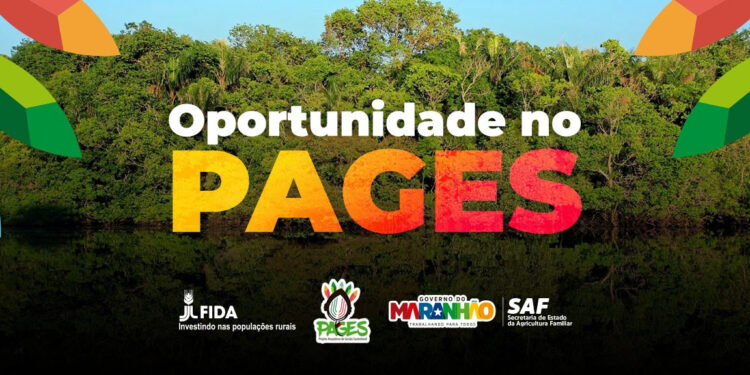 São Luís/MA – Pages abre vaga para assistente de monitoramento