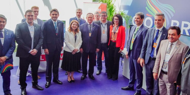 São Luís/MA – Iracema Vale participa de reunião do Grupo de Trabalho de Economia Digital do G20