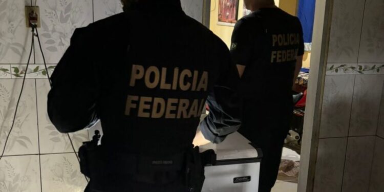 PF deflagra operação contra caça ilegal em Territórios Indígenas