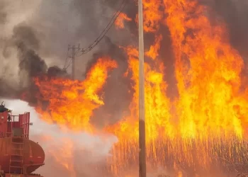 São Paulo – PF abre 33 inquéritos sobre incêndios no país e apura ação coordenada em SP
