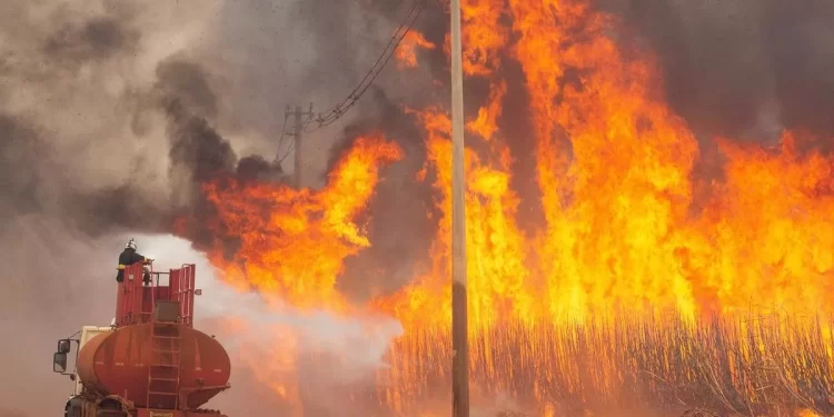 São Paulo – PF abre 33 inquéritos sobre incêndios no país e apura ação coordenada em SP