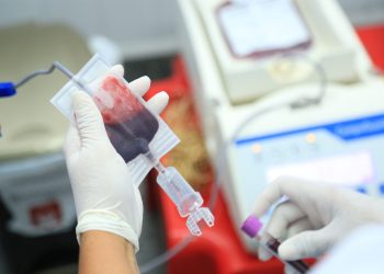 São Luís/MA – Governo estimula doação de sangue em ação no Hospital Dr. Genésio Rêgo