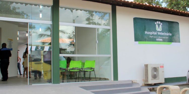 São Luís/MA – Fapema lança edital de aprimoramento profissional em Medicina Veterinária com bolsas de R$ 2 mil