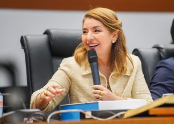 São Luís/MA – Iracema Vale afirma que manifestação da AGU reforça respeito à autonomia do  Parlamento