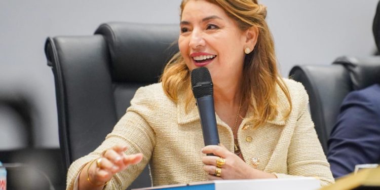 São Luís/MA – Iracema Vale afirma que manifestação da AGU reforça respeito à autonomia do  Parlamento