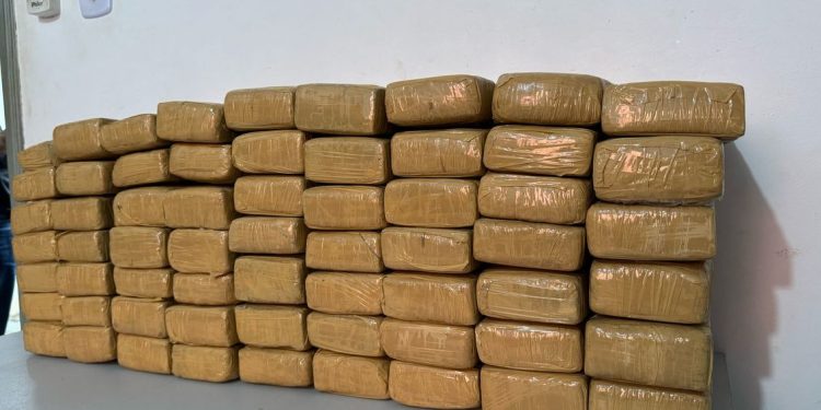 São Pedro da Água Branca/MA – Polícia Militar apreende mais de 60 tabletes de maconha