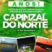 CAPINZAL DO NORTE CELEBRA 31 ANOS DE HISTÓRIA, ORGULHO E CONQUISTAS